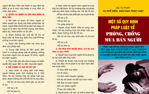 trung tam bao ve quyen tac gia am nhac viet nam thu hon 344 ty dong nhung vi pham ban quyen van dien ra nghiem trong 6789ba1a963ef