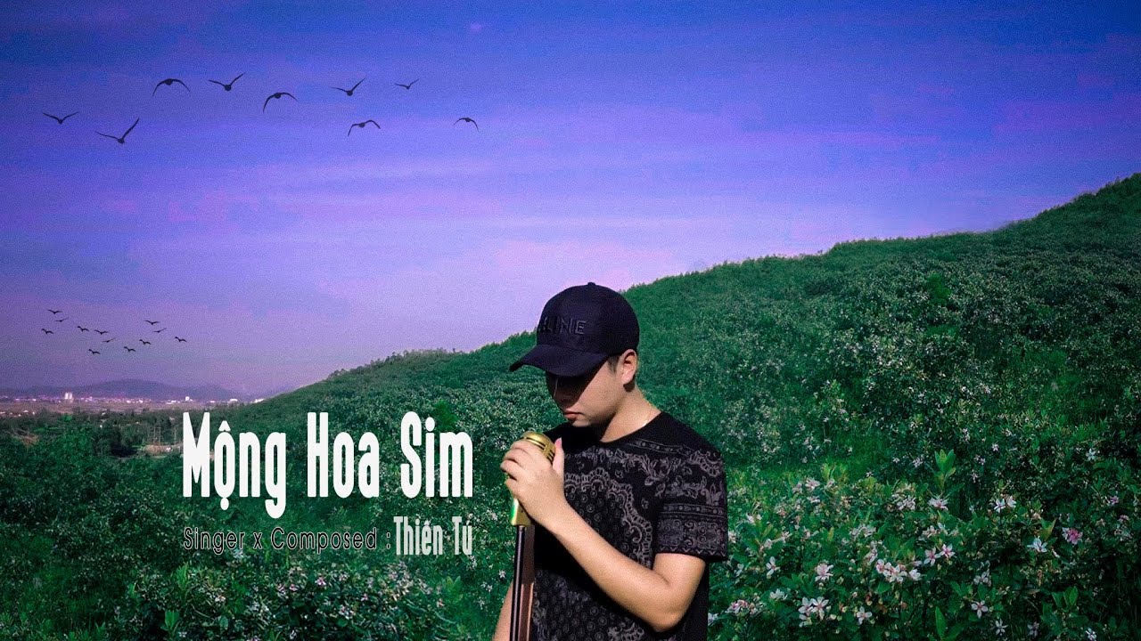 mong hoa sim thien tu official lyric video chuyen hoa sim ben lung doi