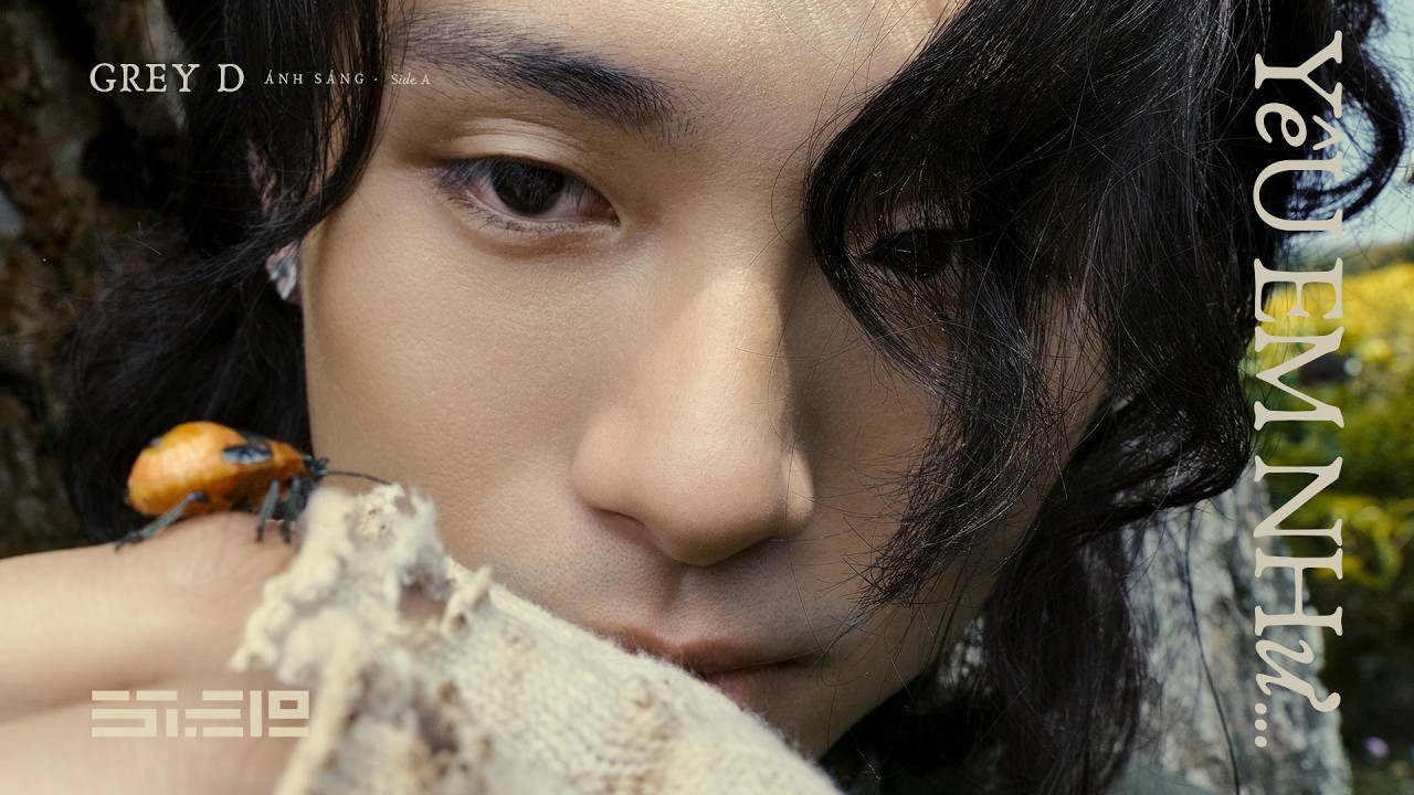yeu em nhu grey d from anh sang man dem album